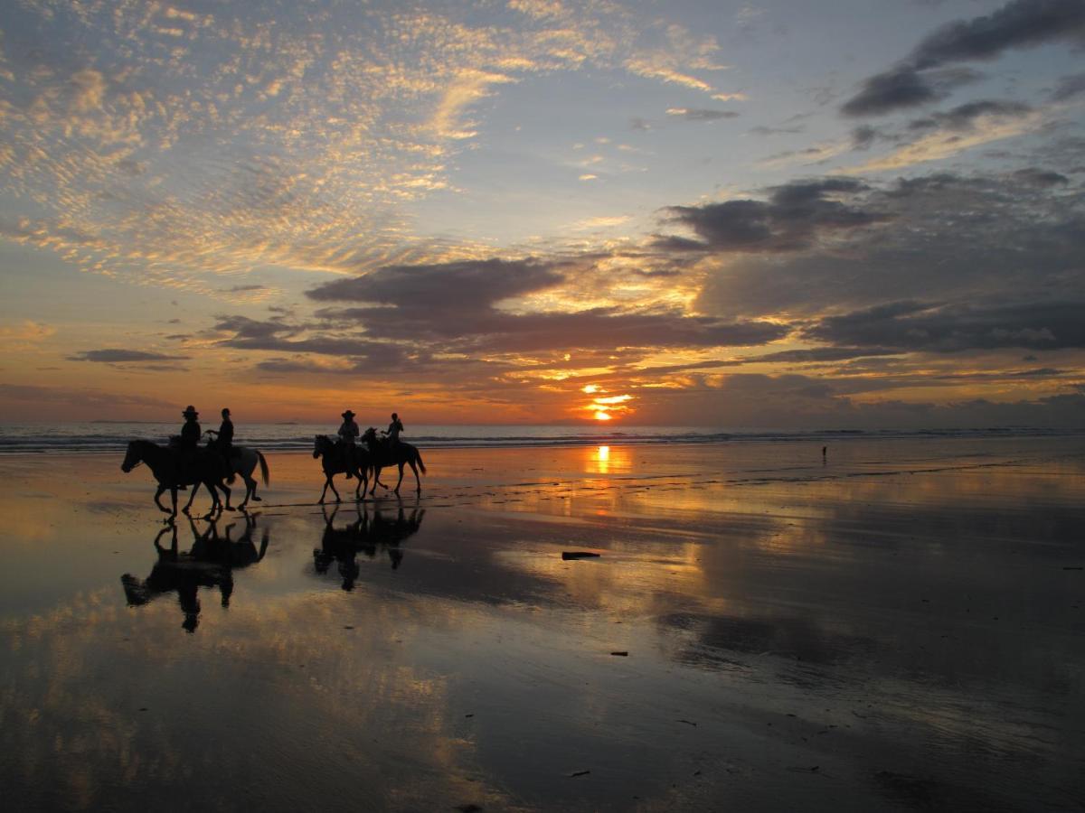 Las Lajas Beach Resort Bagian luar foto