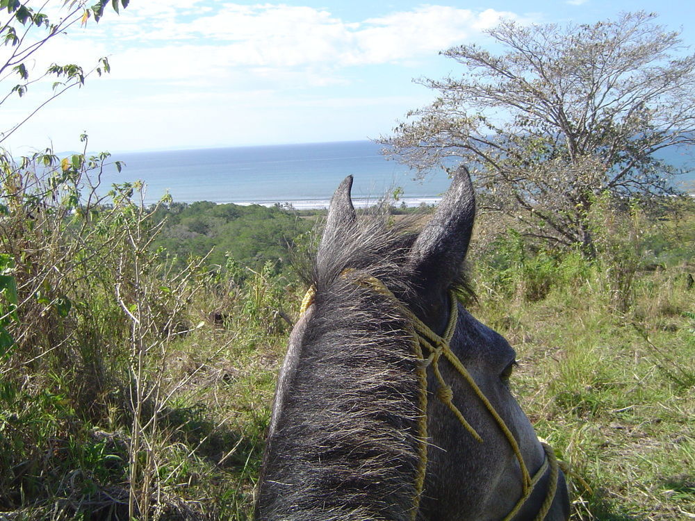 Las Lajas Beach Resort Bagian luar foto